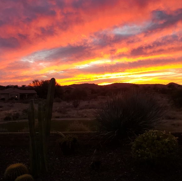 Branded Bargains - Picture 2 of 3